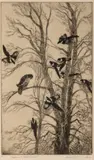 Magpies and Red-Tailed Hawk by Gene Kloss, etching Original pencil signature lower right, offered Mar 2023