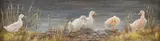 Judy Syverson, Ducks in a Row, oil on board