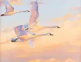 Ed DuRose, Golden Trio, oil on canvas