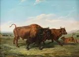 American Bison by Rudolph F. Kurz, oil on canvas, offered Mar 2023