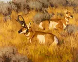 Sagebrush Repose by David Wade, oil on board, offered Mar 2023