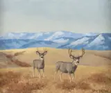 Les Peters, Muleys, oil on canvasboard
