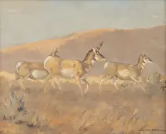 Robert F. Morgan, (NWR) Pronghorns, oil on canvasboard
