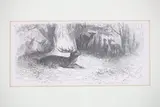 Gustave Doré, Untitled, engraving france printed c. 1867