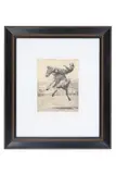 Bob Coronato, Peeled the Bark, etching