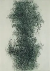 Gabor Peterdi, Wisteria, etching and engraving, 1960