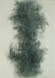 Gabor Peterdi, Wisteria