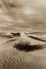 Roger Benedetti, Sand Dunes, Death Valley, CA sepia toned silver gelatin, photograph. 17 15/16 x 12"