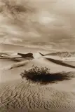 Roger Benedetti, Sand Dunes, Death Valley, CA sepia toned silver gelatin