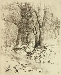 George Elbert Burr, Woods in Winter, drypoint, ca. 1930
