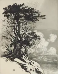 George Elbert Burr, Coast at Monterey- California, etching and drypoint, ca. 1925