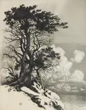 George Elbert Burr, Coast at Monterey- California, etching and drypoint, ca. 1925