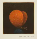 Yōzō Hamaguchi, Papillon Rouge mezzotint in color, 1972, mezzotint