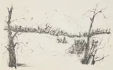 Peter Takal, Trees and Fields, lithograph, 1957