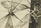 Walter Rogalski, Locust, engraving, 1954
