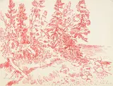 Karl Schrag, Tree Bending to Water red, pen and ink on paper