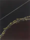 Katsunori Hamanishi, Division Work No. 42 mezzotint in color, 1994, mezzotint