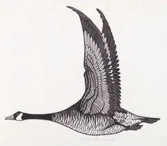 Jacques Hnizdovsky, Canada Goose, linocut, 1975, singed