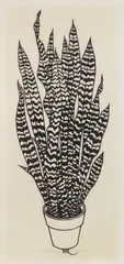 Jacques Hnizdovsky, Sansevieria, woodcut, 1973