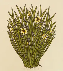 Narcissus II by Jacques Hnizdovsky, woodcut with hand-coloring, 1973, offered Sep 2025