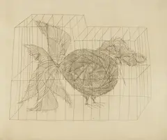 Paul Flora, Vogel im Kafig, etching, 1961