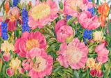 Jan J. Ford, Poppies, watercolor on paper, 2016