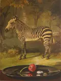 Sherrie Wolf, Zebra with Cherry and Fava Bean, etching, aquatint and photogravure, 2011