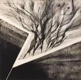 Jennifer Dickson, Souffle sur Eden, etching, 1965