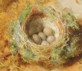 William Henry Hunt, Bird's Nest with Eggs, watercolor on paper mounted to support