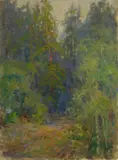 Kate A. Williams, Forest Landscape, oil on canvas wrapped around cardboard