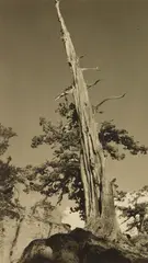William E. Dassonville, High Sierras, photograph