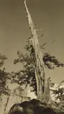 William E. Dassonville, High Sierras, photograph