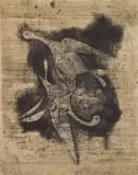 Johnny Friedlaender, Deux Oiseaux I, etching, 1950