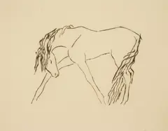 Renée Sintenis, Standing Horse, etching