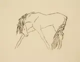 Renée Sintenis, Standing Horse, etching