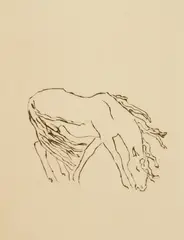 Renée Sintenis, Horse in Wind, etching