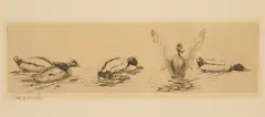 Ducks at Play by Richard Evett Bishop, etching, 1935, unlimited, offered Dec 2024
