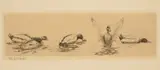 Richard Evett Bishop, Ducks at Play, etching, 1935, unlimited
