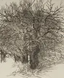 Headlands by Deborah Haylor, etching, offered Jun 2025