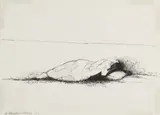 Walter Stomps, Untitled