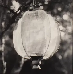 Fabric Lantern - Fire Island Pines by Bruce Cratsley, 1990, photograph, offered Nov 2024