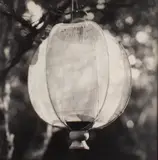 Bruce Cratsley, Fabric Lantern - Fire Island Pines, 1990, photograph