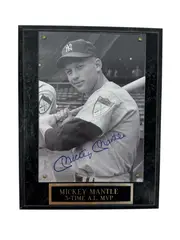 Untitled by Mickey Mantle, photograph with coa, offered Jul 2026
