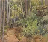 Onorato Carlandi, Sottobosco...