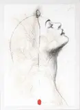 Omar Galliani, L’ultimo fiore di Leonardo, 2013...