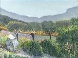 Giovanni Colacicchi, Uliveto lucano, 1973...