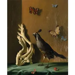 Fernand Renard, 1912 - 1990 / Farfalle e volatile, oil on canvas