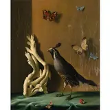 Fernand Renard, 1912 - 1990 / Farfalle e volatile, oil on canvas