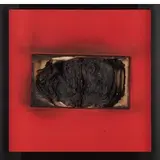 Bernard Aubertin, Fontenay aux Roses 1934 - 2015 / Livre Brûlé, 2006