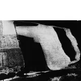 Mario Giacomelli, Senigallia 1925 - 2000 / Presa di coscienza sulla natura, 1979